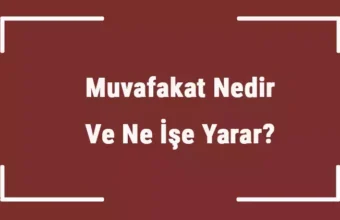 Muvafakatname Nedir?