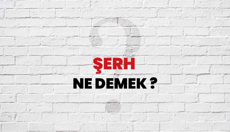 Şerh Ne Demek ?